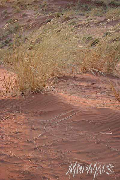 Mud Maps Africa Namibia 1479